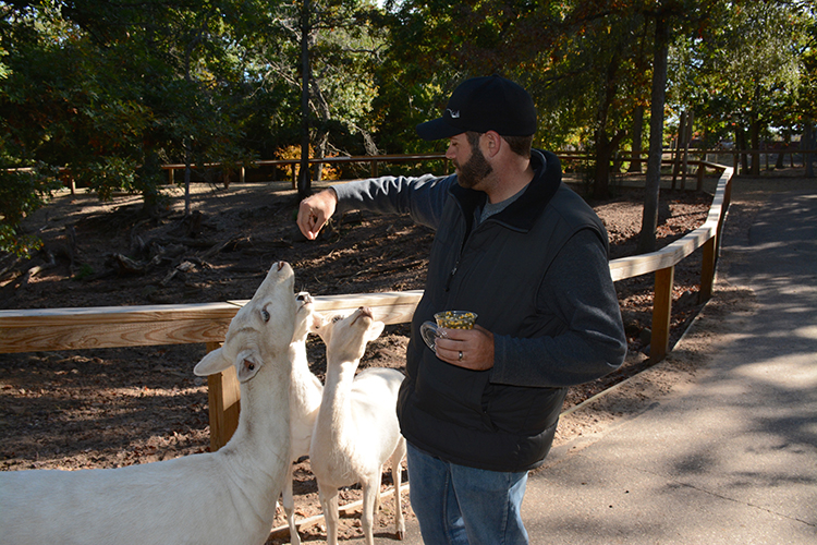 Wisconsin Deer Park, Wisconsin Dells | My Darling Days Wisconsin Deer Park, Wisconsin Dells | My Darling Days
