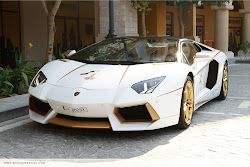 lamborghini aventador gold plated golden qatar