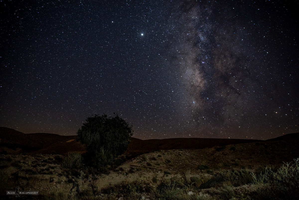Звездопад краткое содержание. Пустыня Негев ночное небо. Звездопад. Звездопад на Алтае. Звездопад в Негеве.