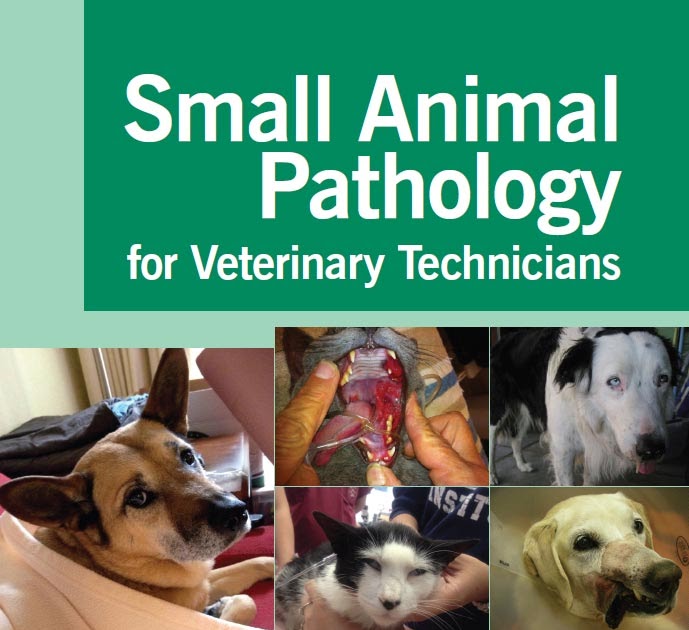 Small Animal Pathology for Veterinary Technicians