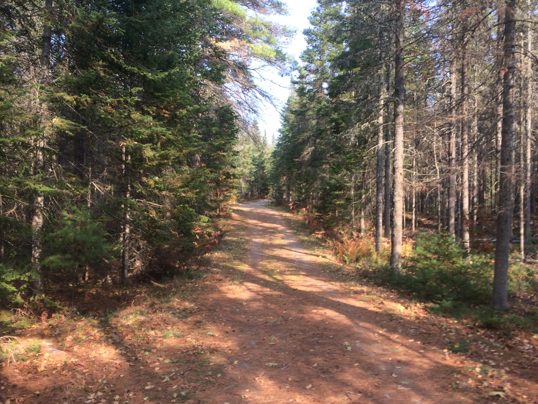 Welcome to HikingMaine.Org: Biking Walden Parke, Bangor City Forest