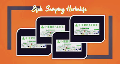 efek samping herbalife