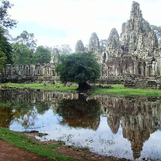 angkor wat trees and reflection