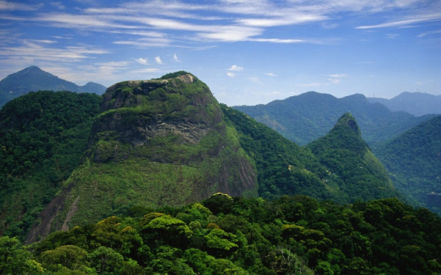 Rừng Tijuca ở Rio De Janeiro Brazil