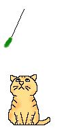 Animation Bundle: Animated Cats Jumping Playing and Running Around See