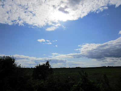Sunny sky and farm field