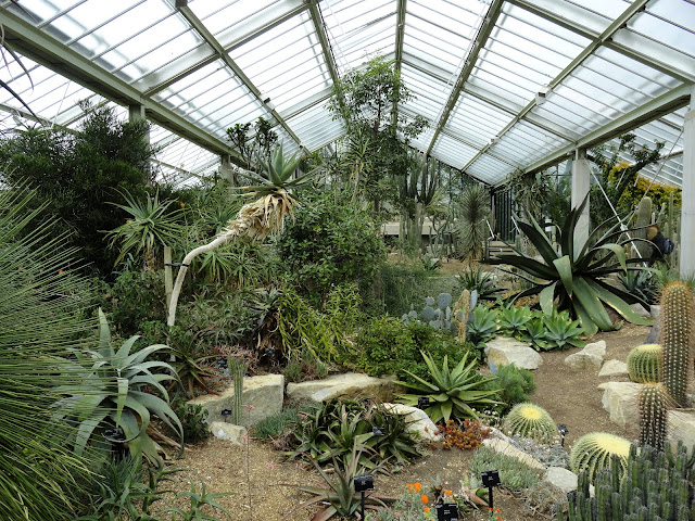 danger garden: Kew Wednesdays: The Princess of Wales Conservatory, Part 1