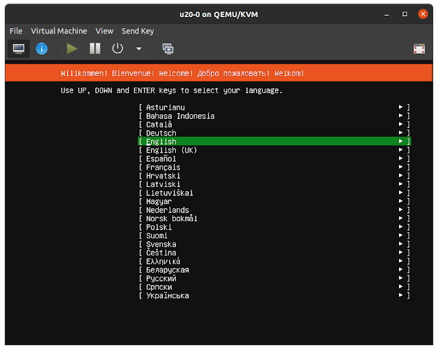 the Ubuntu 20.04 text-based installer running in the new VM