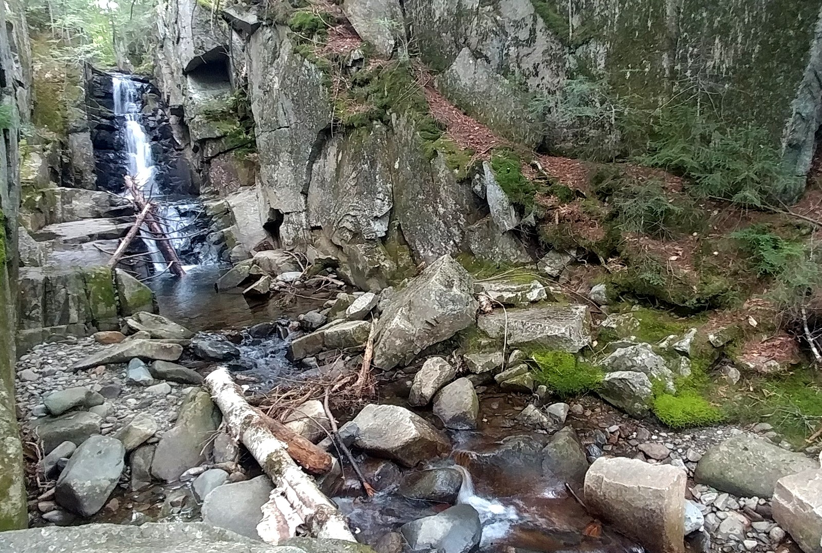Along the NETCohos NH Cohos Trail Kelsey Notch to Dixville Notch