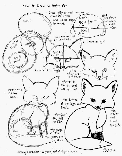 How to Draw Worksheets for The Young Artist How To Draw A Baby Fox