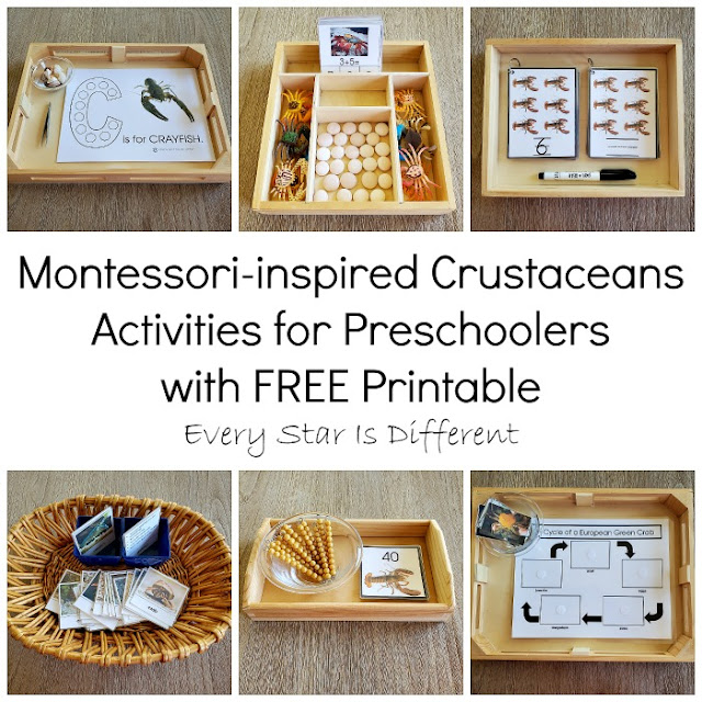 Montessori-inspired Crustaceans Activities for Preschoolers