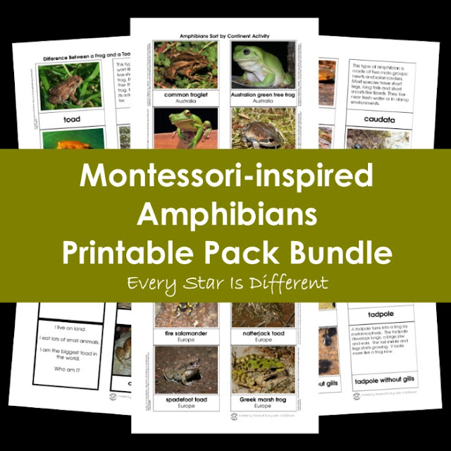 Montessori-inspired Amphibians Printable Pack Bundle