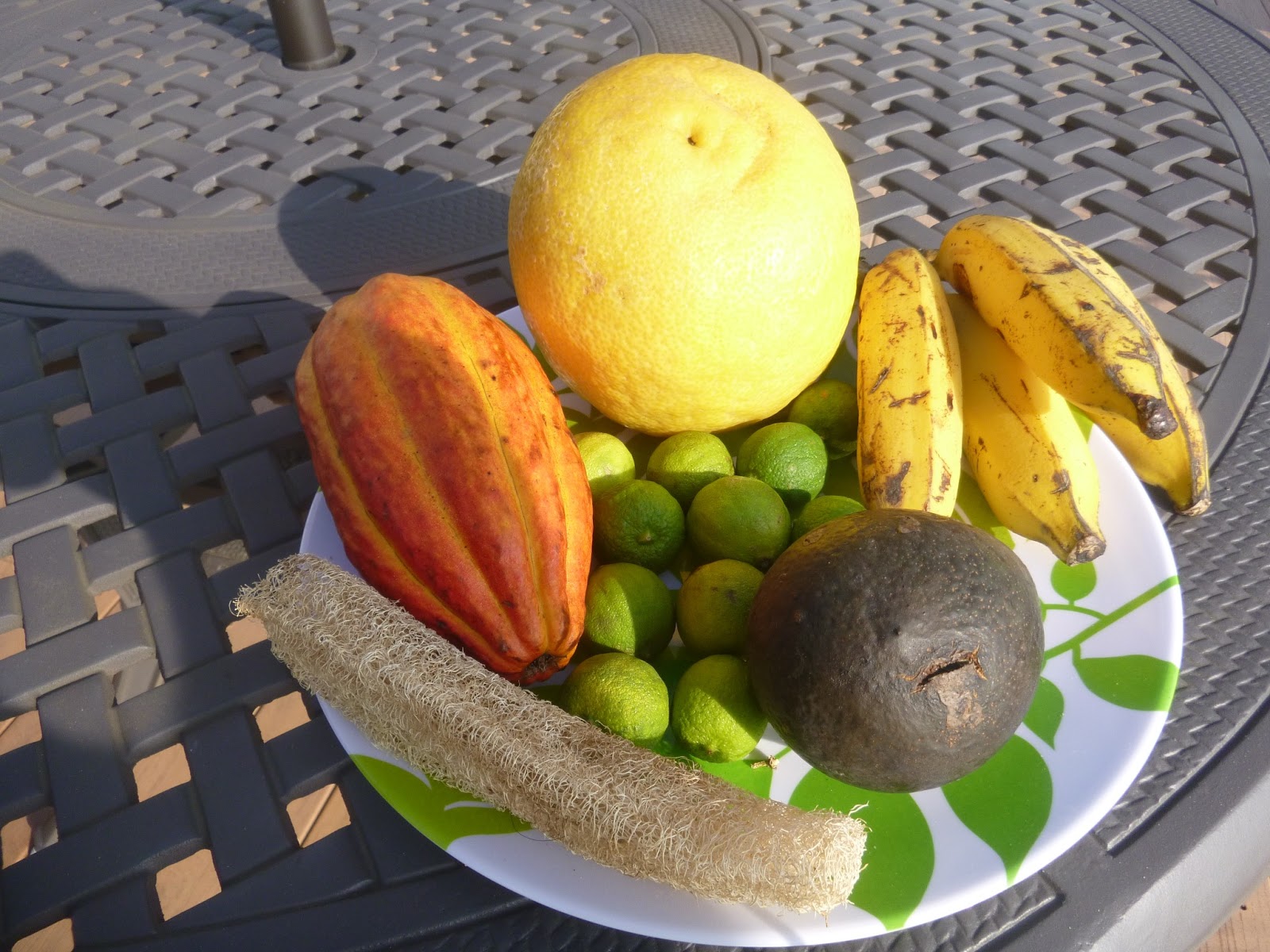 HAWAII 2013 A GIANT LEMON AND SHOPPING IN KAILUAKONA