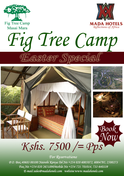 Mada Hotels: Special Tree camp Maasai mara
