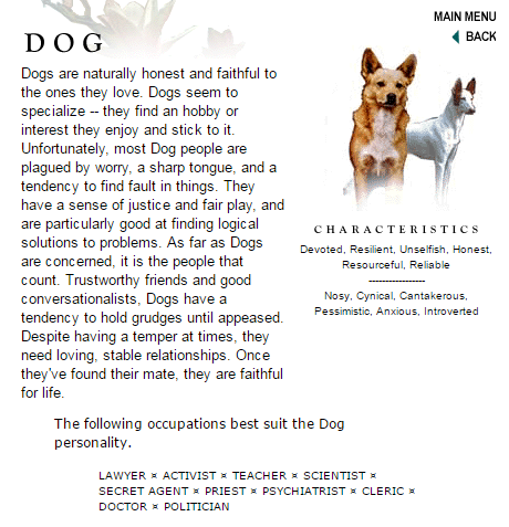 Descriptive Essay About Dog