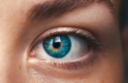 فسيولوجيا العين كل ما تحتاج لمعرفته حول علم الفراسة ولغة العيون