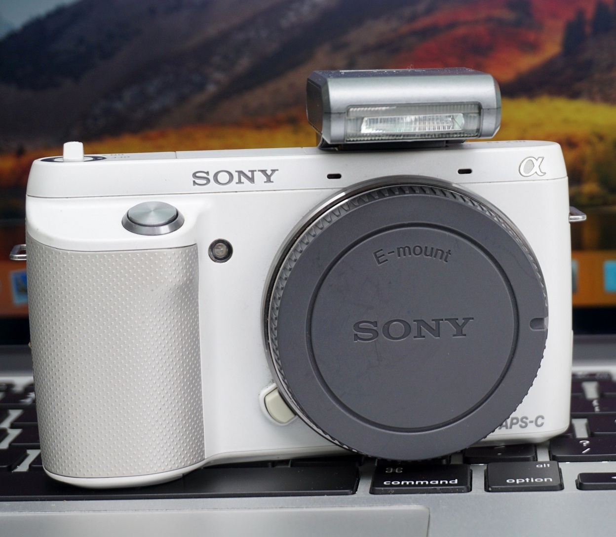 Sony nex f3 примеры