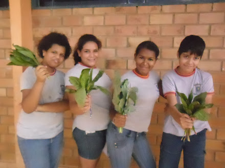 Alunos colhendo as hortaliças plantadas por eles...