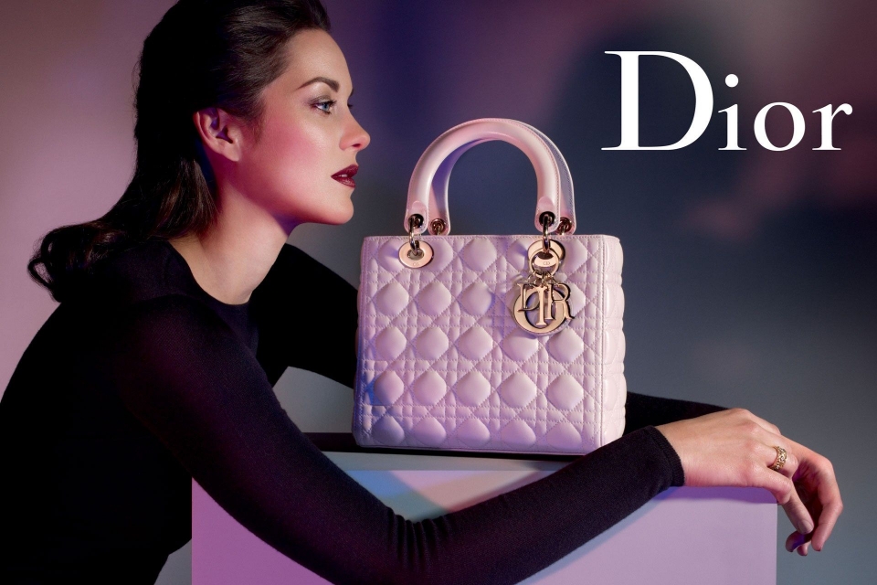 Fusion Of Effects: Ray of Inspirology: Lady Dior S/S 2013 Campaign