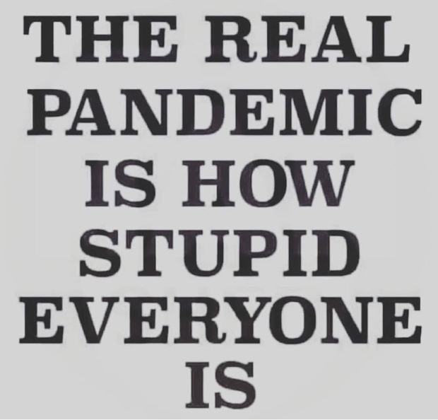 covid-real-pandemic-stupid.jpg