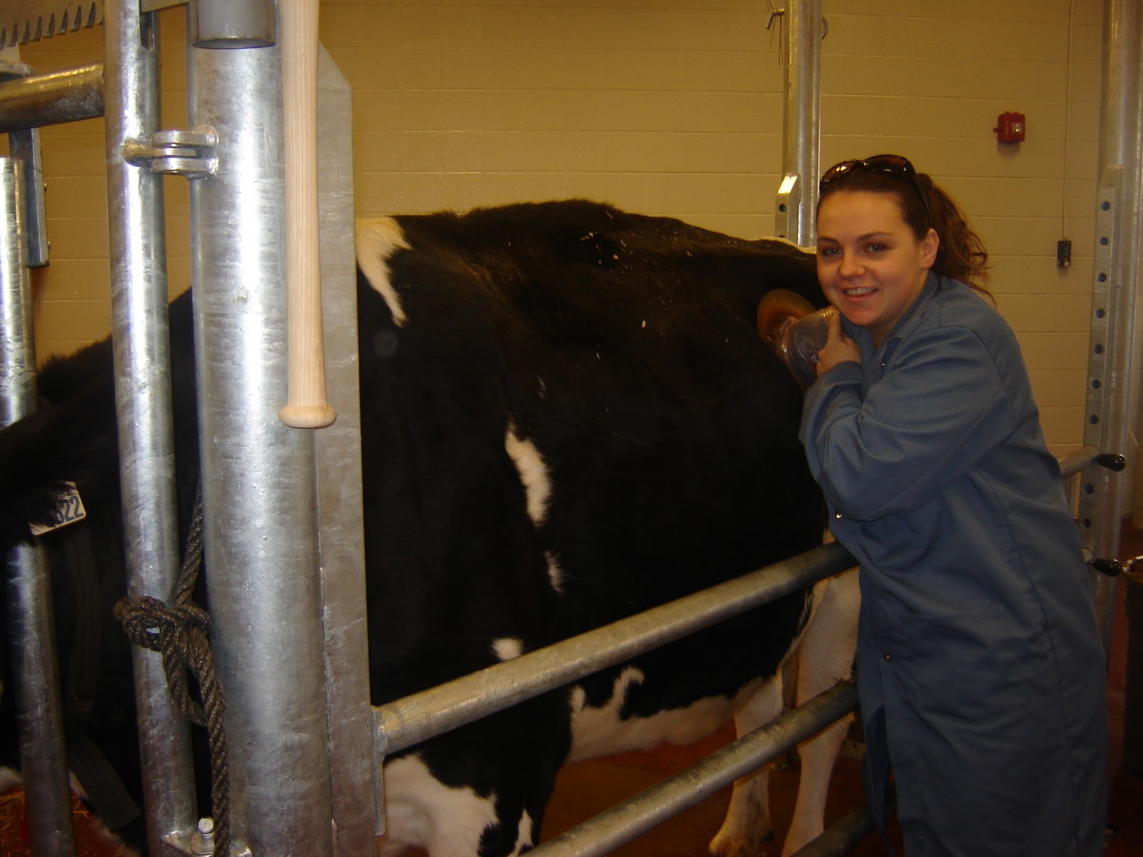 Canadian Vet Student Trying to Survive Vet School November 2011