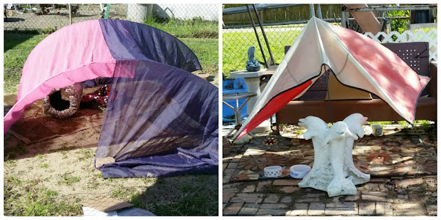 2 cat shelters made from scrap material in the yard. 