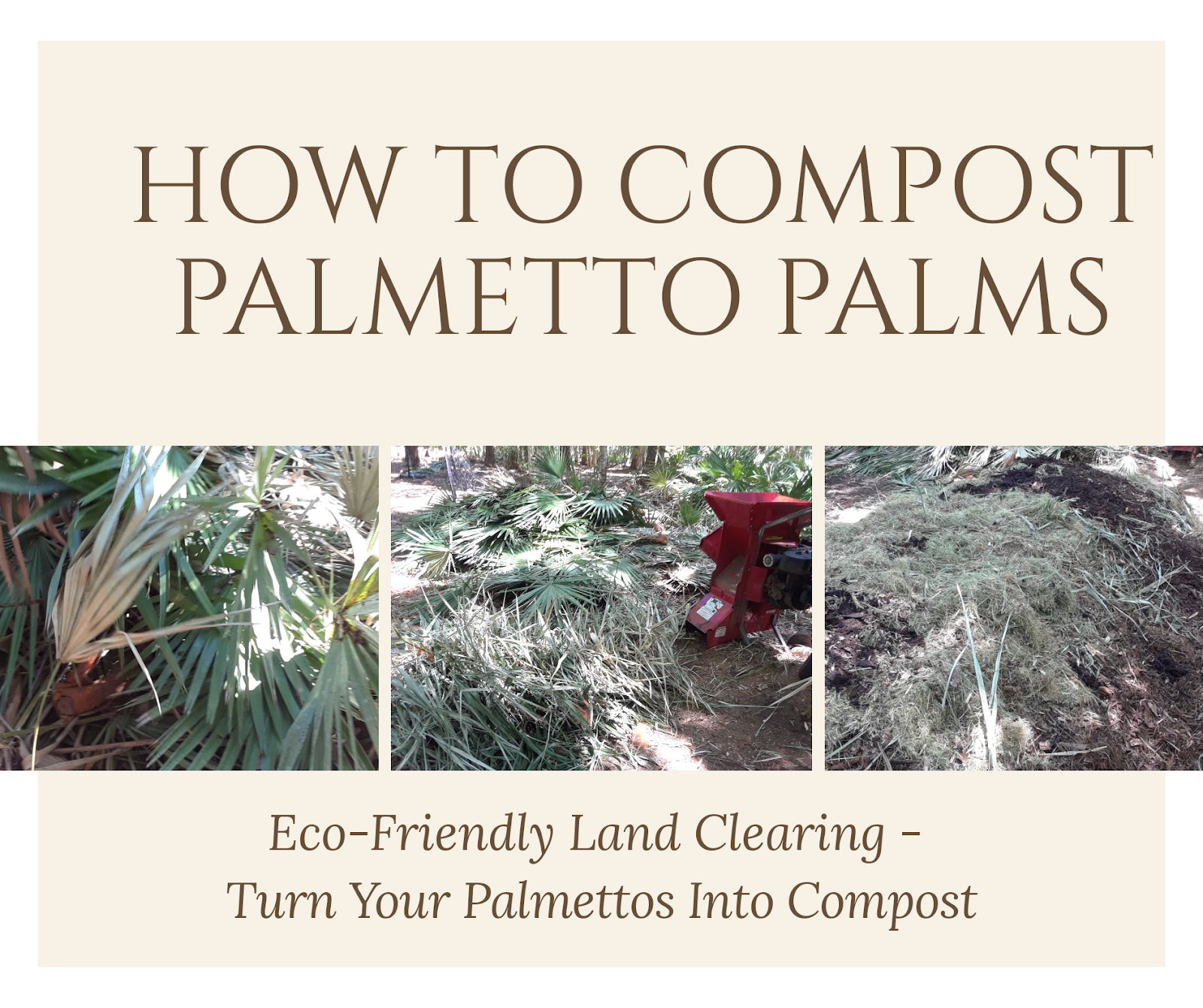 How To Compost Palmetto Palms