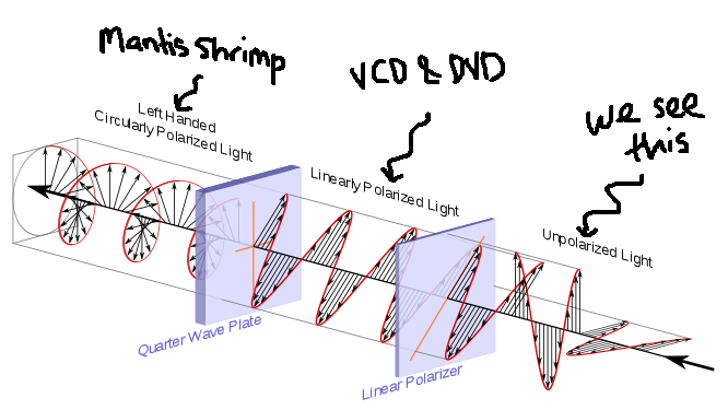 660px-Circular.Polarization.Circularly.Polarized.Light_Circular.Polarizer_Creating.Left.Handed.Helix.View.svg.png