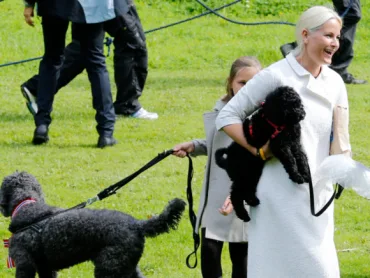 Norwegian Royal Family  attend an outdoor church service in the the Queen’s Park