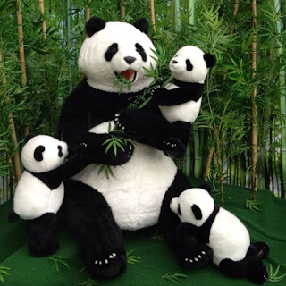 Gambar Panda Keren