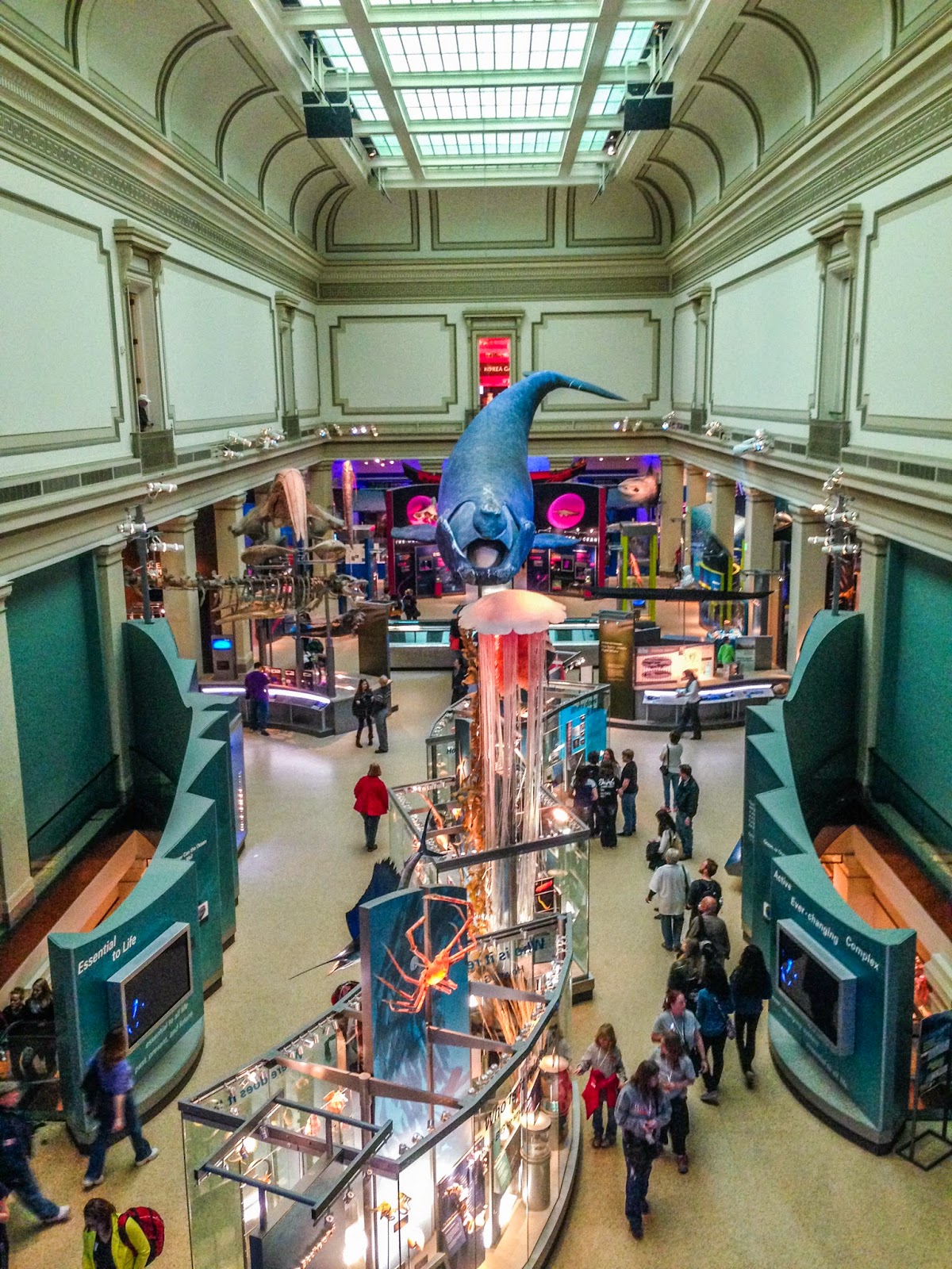 SMITHSONIAN MUSEUM OF NATURAL HISTORY ENTRANCE FEE visual data 5