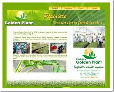 Pépinière Golden Plant