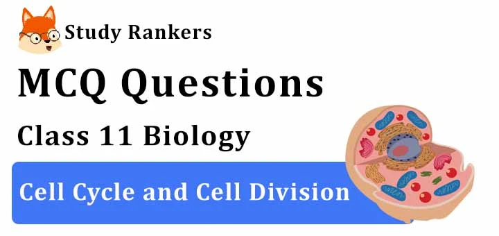 MCQ Questions for Class 11 Biology: Ch 10 Cell Cycle and Cell Division