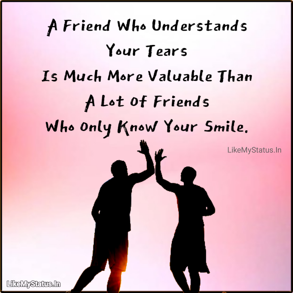 17+ Friendship Quotes In English With Images