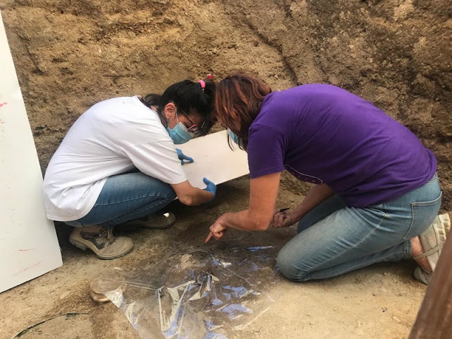 Etruscan tomb of child discovered in Vulci