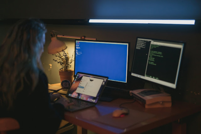 The Main Difficulties in Software Development The Main Difficulties in Software Development