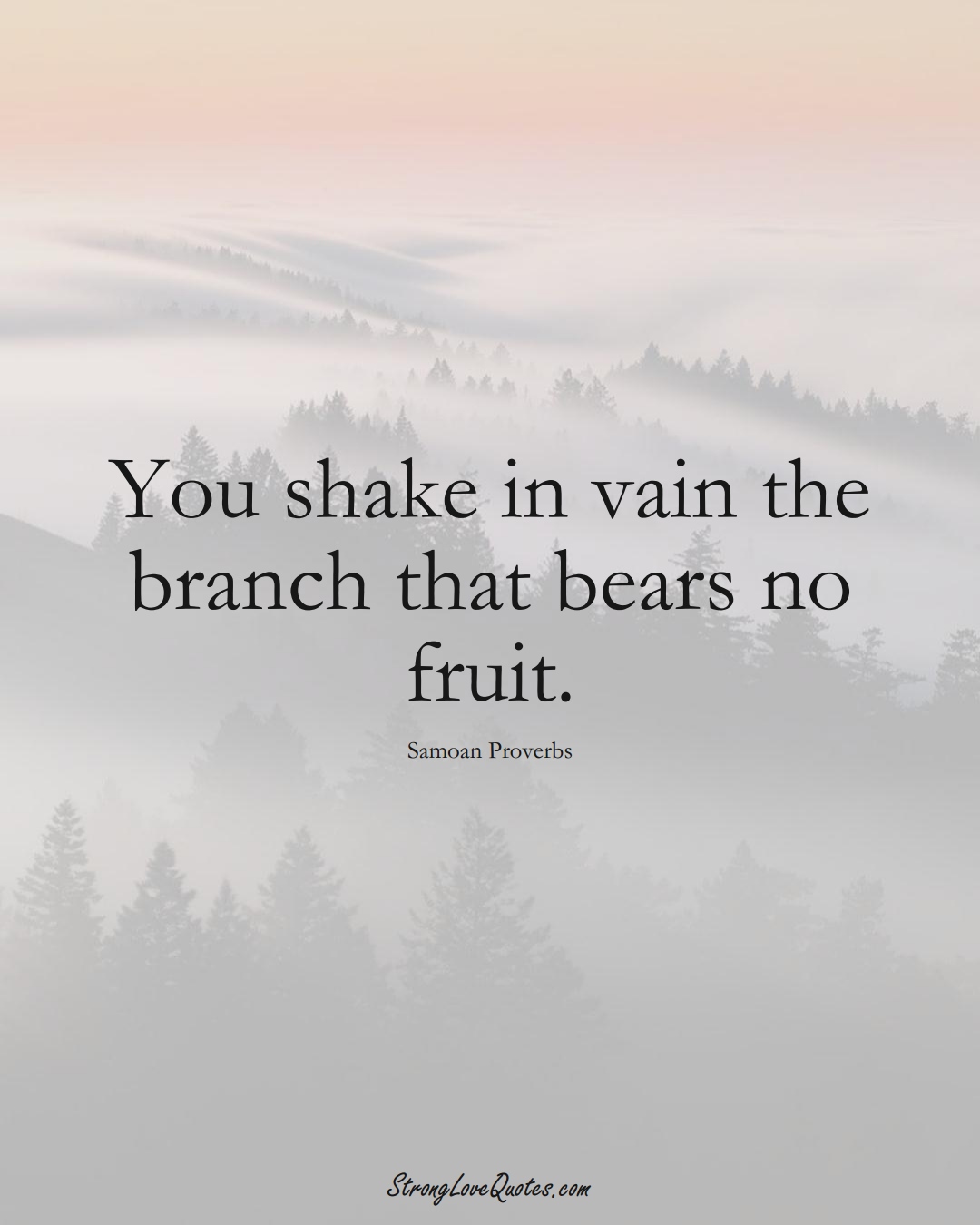 You shake in vain the branch that bears no fruit. (Samoan Sayings);  #AustralianSayings