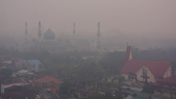 Kabut Asap Tebal di Riau, Masyarakat Diimbau untuk Gunakan Masker dan Kurangi Aktivitas di Luar