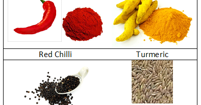 Class 4 Evs Chapter 25 Spicy Riddles Ncert