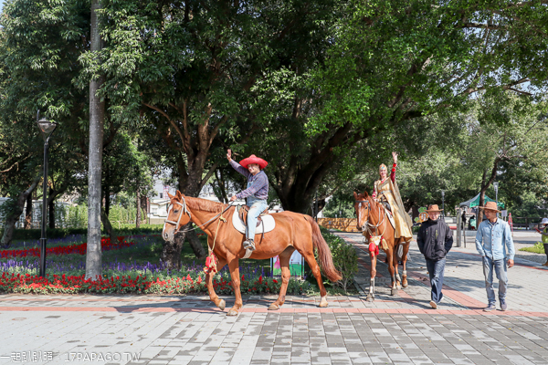 台中后里|台中花博后里馬場園區|花舞館|馬術兢技場|故宮花蝶館|花馬樂園 台中后里|台中花博后里馬場園區|花舞館|馬術兢技場|故宮花蝶館|花馬樂園