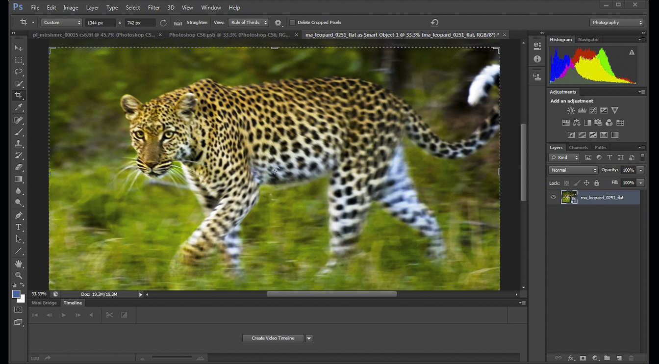 adobe photoshop cs6