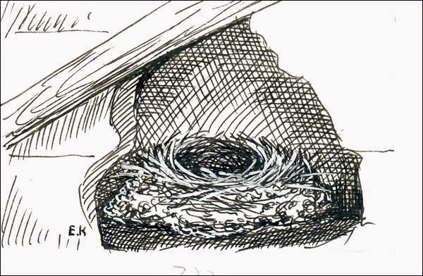 nido de Golondrina