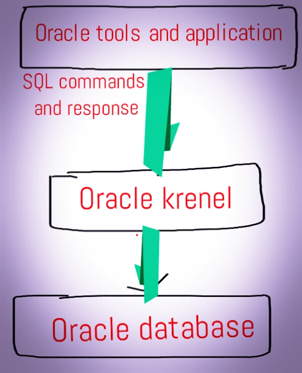 WHAT IS ORACLE - INDIA GOOGLE ALL FARMATE