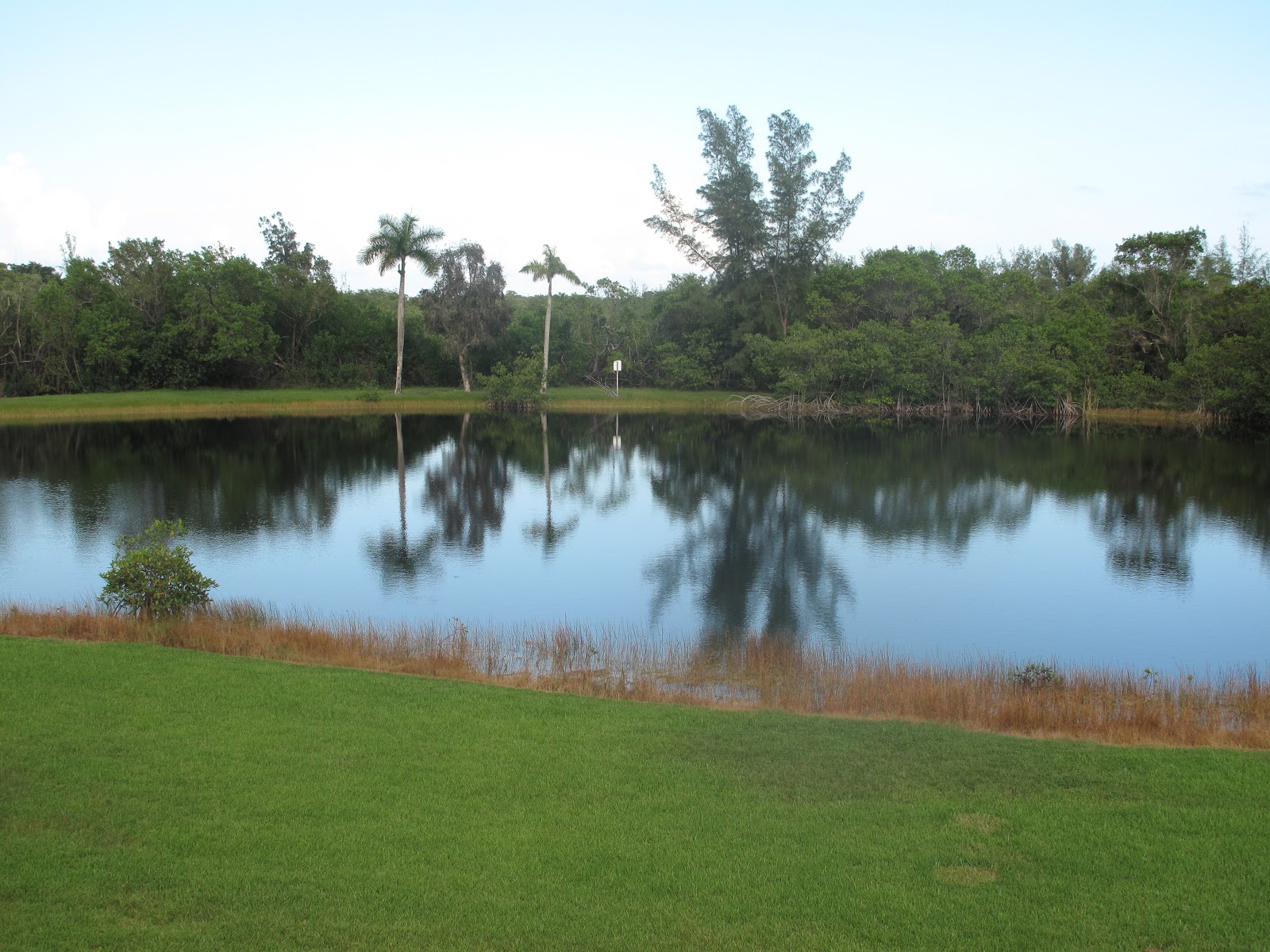 The Parks Department Matheson Hammock Park