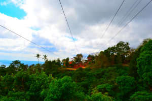 Zipline in Eco-Adventure Trail Tagaytay