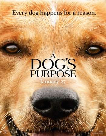 Poster Of A Dog's Purpose 2017 English 850MB HDCAM XviD Free Download Watch Online downloadhub.in