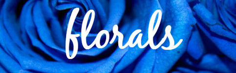 The Power of Flowers