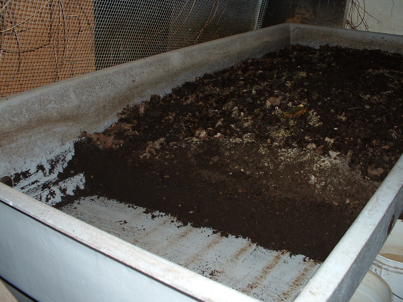 Worm Bin Composting Time to Kick it in the Worm Bin