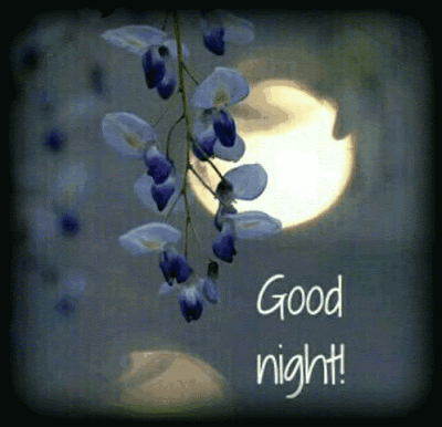 Good Night Giphy Good Night my friends