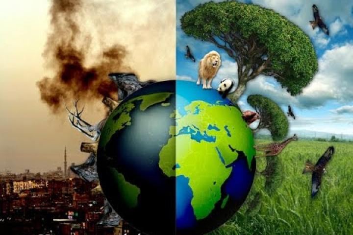 environmental pollution essay in bengali